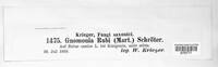 Breviappendix rubi image